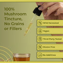 naturealm-chaga-mushroom-liquid-tincture-supplemen-6.jpg