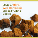 naturealm-chaga-mushroom-liquid-tincture-supplemen-7.jpg