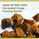 naturealm-chaga-mushroom-liquid-tincture-supplemen-7.jpg