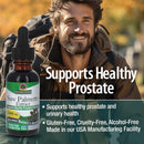 natures-answer-alcohol-free-saw-palmetto-berry-ext-4.jpg