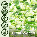 natures-answer-quercetin-blend-60-capsules-respira-5.jpg