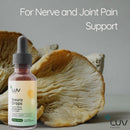 neuro-drops-nerve-pain-support-joint-comfort-with-lions-mane-curcumin-cordyceps-reishi-organic-adaptogens-vegan-non-gmo-made-in-usa--3-pack-90-servings-2