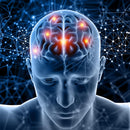 neuroviv-gold-max-neuro-plus-brain-and-focus-formu-4.jpg