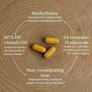 new-chapter-advanced-perfect-prenatal-vitamins-192ct-made-with-organic-non-gmo-ingredients-for-healthy-baby-mom---folate-methylfolate-whole-food-fermented-iron-vitamin-d3-ginger-2