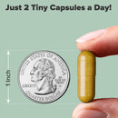 nooro-sciatiguard-sciatica-supplement-sciatic-nerv-4.jpg