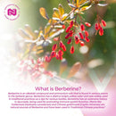 nootropics-depot-berberine-hcl-silymarin-capsules--4.jpg