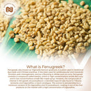nootropics-depot-fenugreek-extract-capsules-500mg--3.jpg