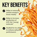 north-spore-organic-cordyceps-mushroom-tincture-4--4.jpg