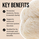 north-spore-organic-lions-mane-mushroom-tincture-4-4.jpg