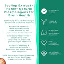 nuplalife-plasmalogen-supplement-brain-cognitive-support-formula-60-capsules-derived-from-sea-scallops-for-adults-seniors-3