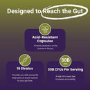 nutrizing-vegan-probiotics-for-digestive-health----6.jpg