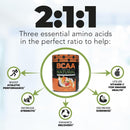 nutrology-tripact-protein-powder-7-in-1-meal-repla-8.jpg