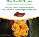 ocu-glo-human-vision-formula-eye-health-support-capsules-90ct-1