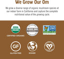 om-mushroom-superfood-coffee-latte-blend-mushroom--4.jpg