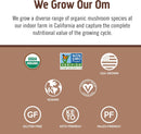 om-mushroom-superfood-master-blend-creamy-chocolat-9.jpg