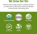 om-mushroom-superfood-matcha-latte-blend-mushroom--2.jpg