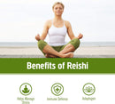 om-mushroom-superfood-reishi-organic-mushroom-powd-3.jpg