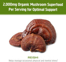 om-mushroom-superfood-reishi-organic-mushroom-powd-4.jpg