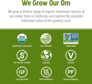 om-mushroom-superfood-reishi-organic-mushroom-powd-6.jpg
