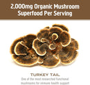om-mushroom-superfood-turkey-tail-organic-mushroom-6.jpg