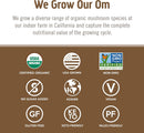 om-mushroom-superfood-turkey-tail-organic-mushroom-7.jpg