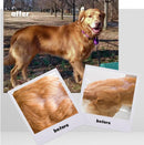 omega-caps-high-potency-snip-tips-for-medium-to-large-breeds-vet-formulated-for-healthy-radiant-skin-coat-contains-omega-3-for-joint-immune-system-support-easy-to-dose-soft-gel-capsules-250-ct-3