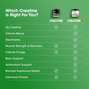 optimum-nutrition-creatine-monohydrate-plus-powder-7.jpg