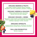 orgain-organic-vegan-protein-powder-peanut-butter--5.jpg