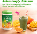 orgain-organic-wonder-gut-fiber-supplement-powder--4.jpg