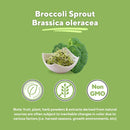 organic-broccoli-sprout-broccoli-extract-for-sulfo-4.jpg