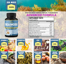 organic-cadane-2-packs-irish-sea-moss-powder-capsu-2.jpg