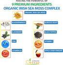 organic-cadane-2-packs-irish-sea-moss-powder-capsu-3.jpg