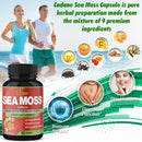 organic-cadane-irish-sea-moss-extract-capsules---s-4.jpg