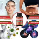 organic-cadane-irish-sea-moss-extract-capsules---s-5.jpg