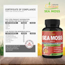 organic-cadane-irish-sea-moss-extract-capsules---s-7.jpg