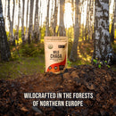 organic-chaga-mushrooms-powder---fine-powder-to-ma-5.jpg