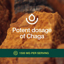 organic-chaga-mushrooms-strongest-dna-verified-150-5.jpg