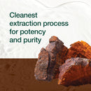 organic-chaga-mushrooms-strongest-dna-verified-150-6.jpg