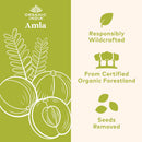 organic-india-amla-capsules-organic---indian-goose-3.jpg
