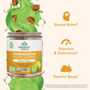organic-india-ashwagandha-gummies-for-men-women---stress-supplement-ksm-66-ashwagandha-root-extra-strength-calm-chews-vegan-non-gmo---lemon-lime-60-gummies-3