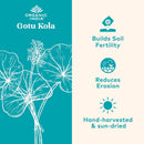 organic-india-gotu-kola---centella-asiatica-herbal-supplement---adaptogen-for-brain-nervous-system-support-vegan-gluten-free-usda-certified-organic-non-gmo-calming-mental-clarity---90-capsules-2