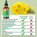 organic-mullein-drops-for-lung-cleanse-powerful-17-5.jpg