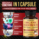 organic-mushroom-10-in-1-formula---with-lions-mane-3.jpg