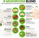 organic-mushroom-matcha-powder-certified-pesticide-3.jpg
