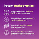 organic-super-maqui-berry-capsules---superfood-pow-3.jpg