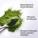 organic-traditions-organic-wheat-grass-powder-gluten-free-organic-wheatgrass-powder-vegan-non-gmo-organic-wheatgrass-juice-powder-superfood-53oz-150g-bag-18-servings-per-bag-2