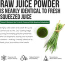 organic-wheatgrass-juice-powder---organic-grown-in-volcanic-soil-of-utah---raw-bioactive-form-cold-pressed-then-co2-dried-201-concentrate-juice-extract---unflavored-53-oz-60-servings-2