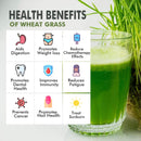 organic-wheatgrass-powder-300g-vegan-non-gmo-gluten-free-rich-in-fiber-chlorophyll-fatty-acids-minerals-immunity-booster-support-superfood-5