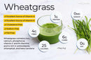 organic-wheatgrass-powder-300g-vegan-non-gmo-gluten-free-rich-in-fiber-chlorophyll-fatty-acids-minerals-immunity-booster-support-superfood-6