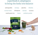 organifi-go-packs---green-juice---organic-superfood-supplement-powder---30-travel-packs---organic-vegan-greens---hydrates-and-revitalizes-7